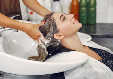 Professional Experts